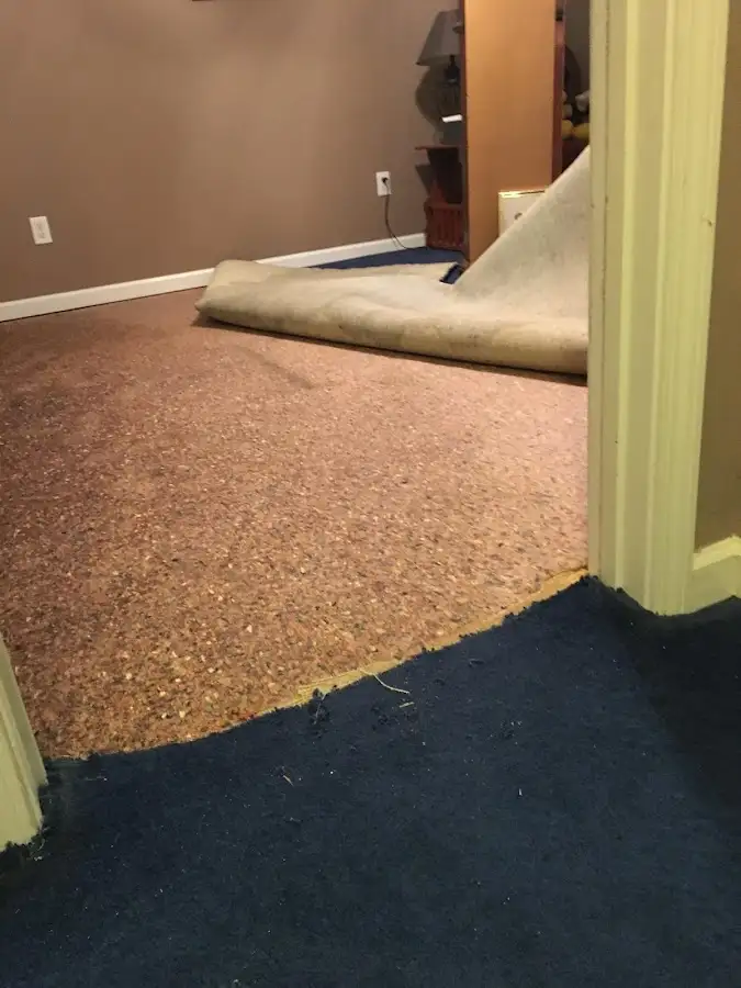 Carpet pad removal revealing water damage during Drying & Dehumidification in Canandaigua