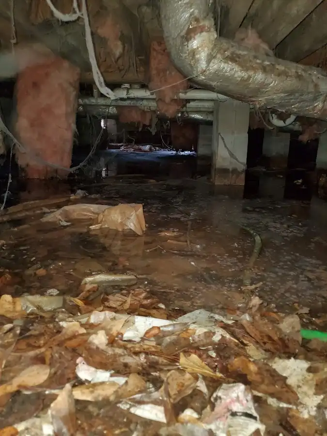 Crawl space flood assessment for Leak Detection & Repair in Canandaigua