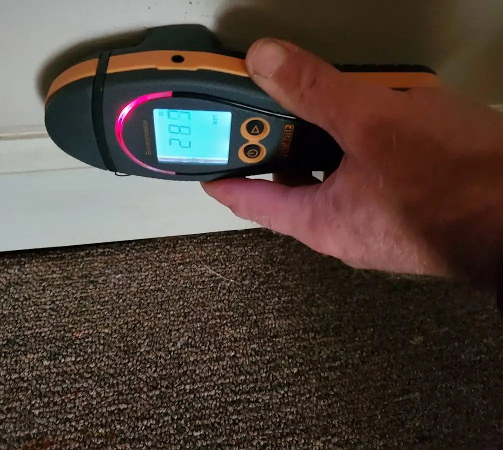 Moisture detection at baseboard during Sewage Cleanup & Sanitation in Canandaigua